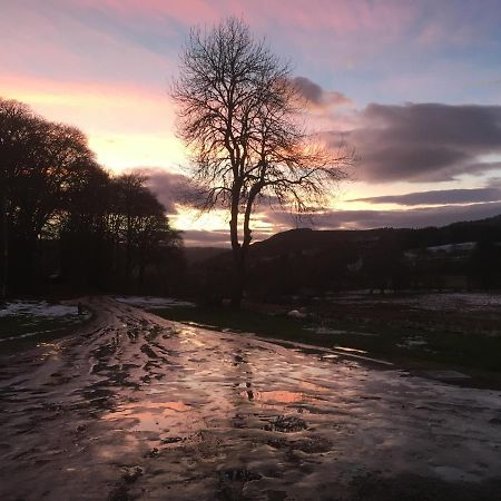 Beautiful Highland 1-Bed Cottage Inverness Eksteriør bilde