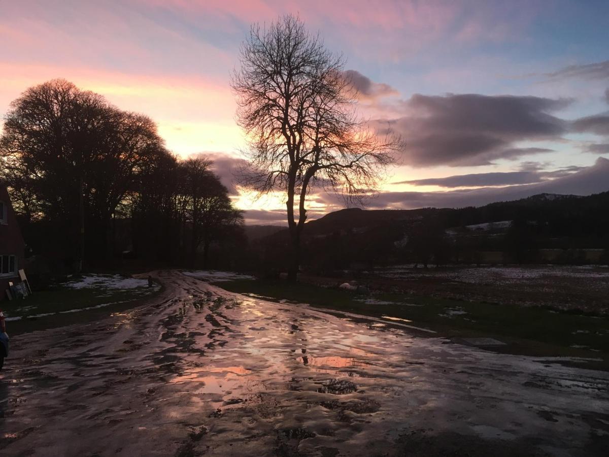 Beautiful Highland 1-Bed Cottage Inverness Eksteriør bilde